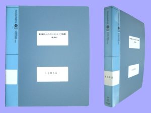 18065-1-L