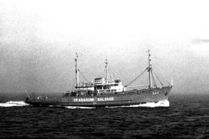 53061-3-L